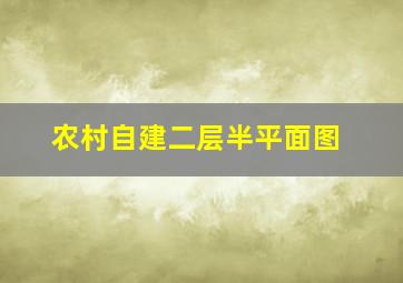 农村自建二层半平面图