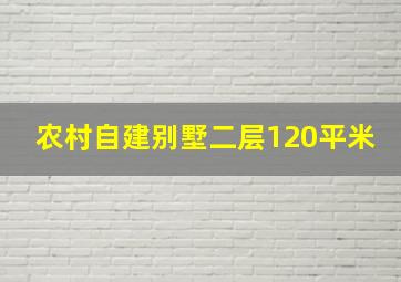 农村自建别墅二层120平米