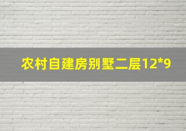 农村自建房别墅二层12*9