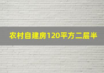 农村自建房120平方二层半