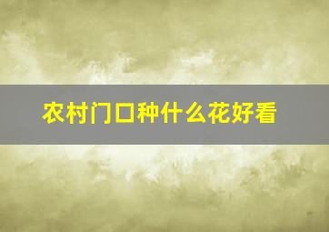 农村门口种什么花好看