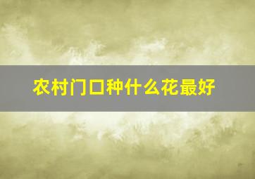 农村门口种什么花最好