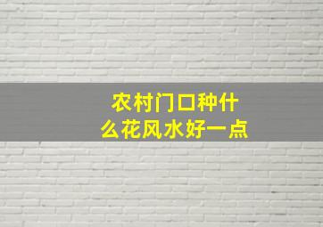 农村门口种什么花风水好一点