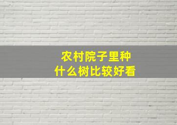 农村院子里种什么树比较好看