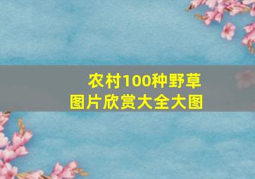 农村100种野草图片欣赏大全大图