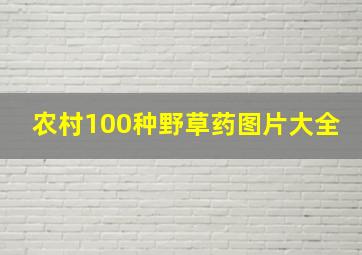 农村100种野草药图片大全