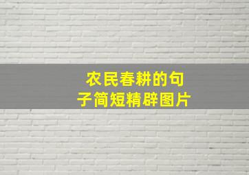 农民春耕的句子简短精辟图片