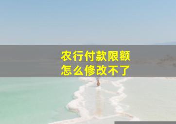 农行付款限额怎么修改不了