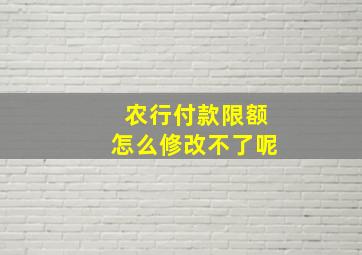 农行付款限额怎么修改不了呢