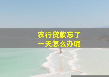 农行贷款忘了一天怎么办呢