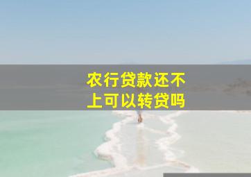 农行贷款还不上可以转贷吗