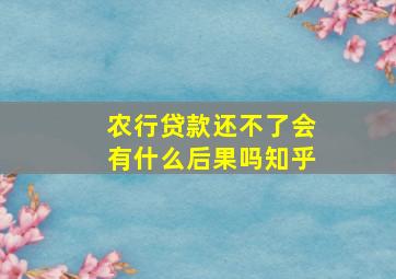 农行贷款还不了会有什么后果吗知乎