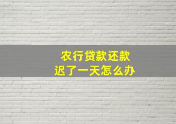 农行贷款还款迟了一天怎么办