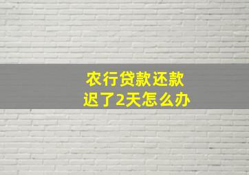 农行贷款还款迟了2天怎么办