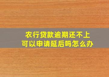 农行贷款逾期还不上可以申请延后吗怎么办