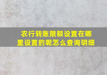 农行转账限额设置在哪里设置的呢怎么查询明细