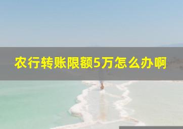 农行转账限额5万怎么办啊