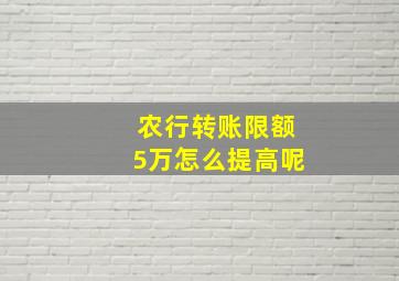 农行转账限额5万怎么提高呢