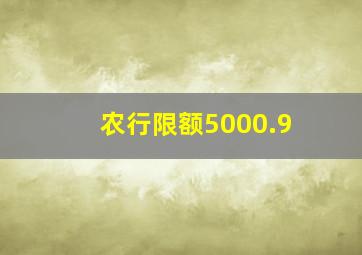 农行限额5000.9