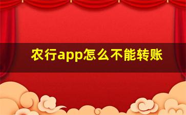 农行app怎么不能转账