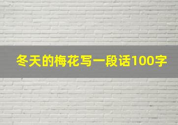 冬天的梅花写一段话100字