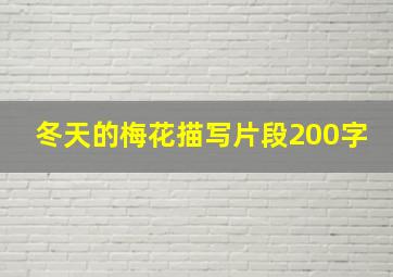 冬天的梅花描写片段200字