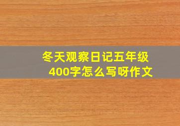 冬天观察日记五年级400字怎么写呀作文