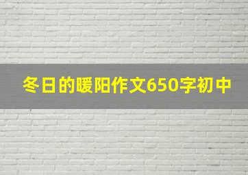 冬日的暖阳作文650字初中