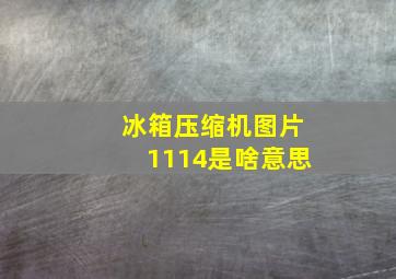 冰箱压缩机图片1114是啥意思