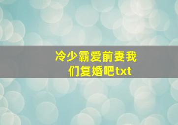 冷少霸爱前妻我们复婚吧txt