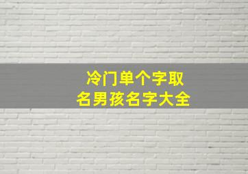 冷门单个字取名男孩名字大全