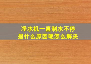 净水机一直制水不停是什么原因呢怎么解决