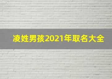 凌姓男孩2021年取名大全