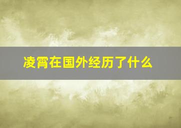 凌霄在国外经历了什么