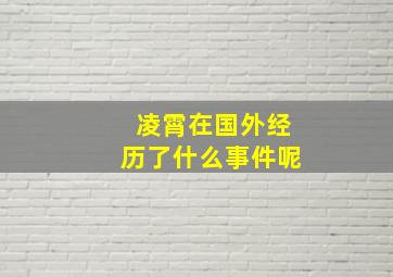 凌霄在国外经历了什么事件呢