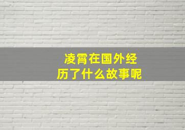 凌霄在国外经历了什么故事呢