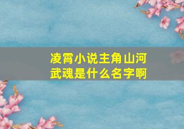 凌霄小说主角山河武魂是什么名字啊