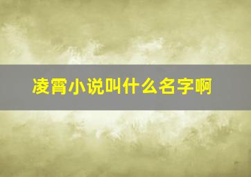 凌霄小说叫什么名字啊