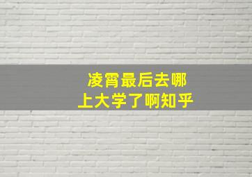 凌霄最后去哪上大学了啊知乎