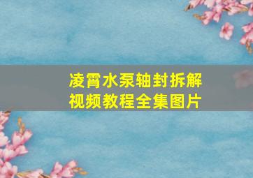 凌霄水泵轴封拆解视频教程全集图片