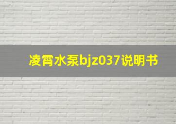 凌霄水泵bjz037说明书