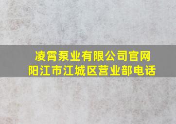 凌霄泵业有限公司官网阳江市江城区营业部电话