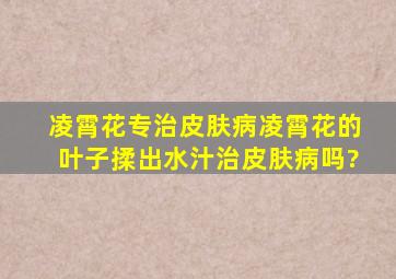 凌霄花专治皮肤病凌霄花的叶子揉出水汁治皮肤病吗?