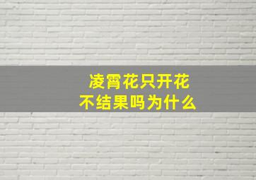 凌霄花只开花不结果吗为什么