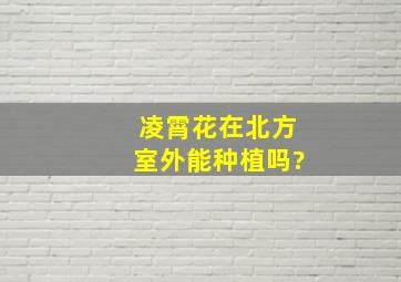 凌霄花在北方室外能种植吗?