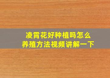 凌霄花好种植吗怎么养殖方法视频讲解一下