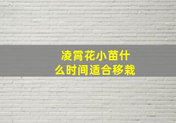 凌霄花小苗什么时间适合移栽