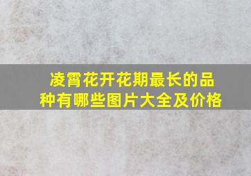 凌霄花开花期最长的品种有哪些图片大全及价格