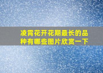 凌霄花开花期最长的品种有哪些图片欣赏一下