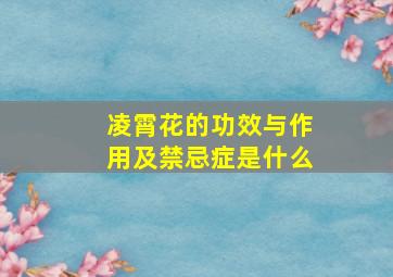 凌霄花的功效与作用及禁忌症是什么